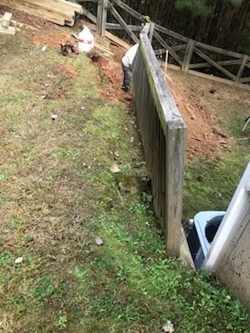 pine straw installation service