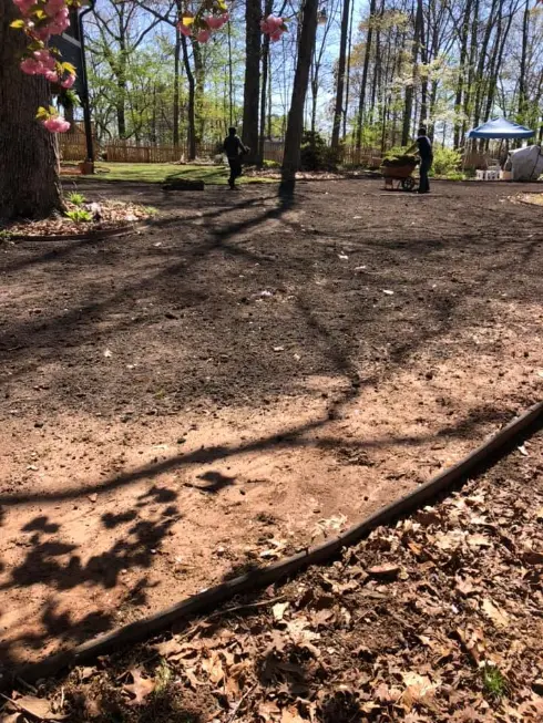 storm damaged tree removal