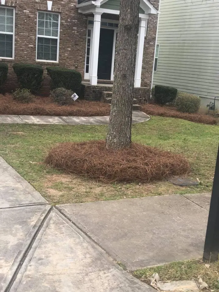 lawn replacement before and after