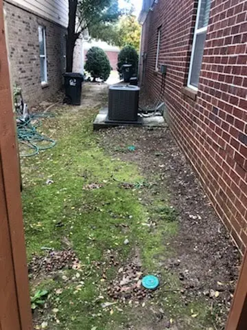 brush clearing services before and after