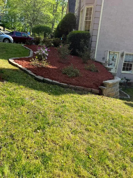 tree cutting service Lawrenceville