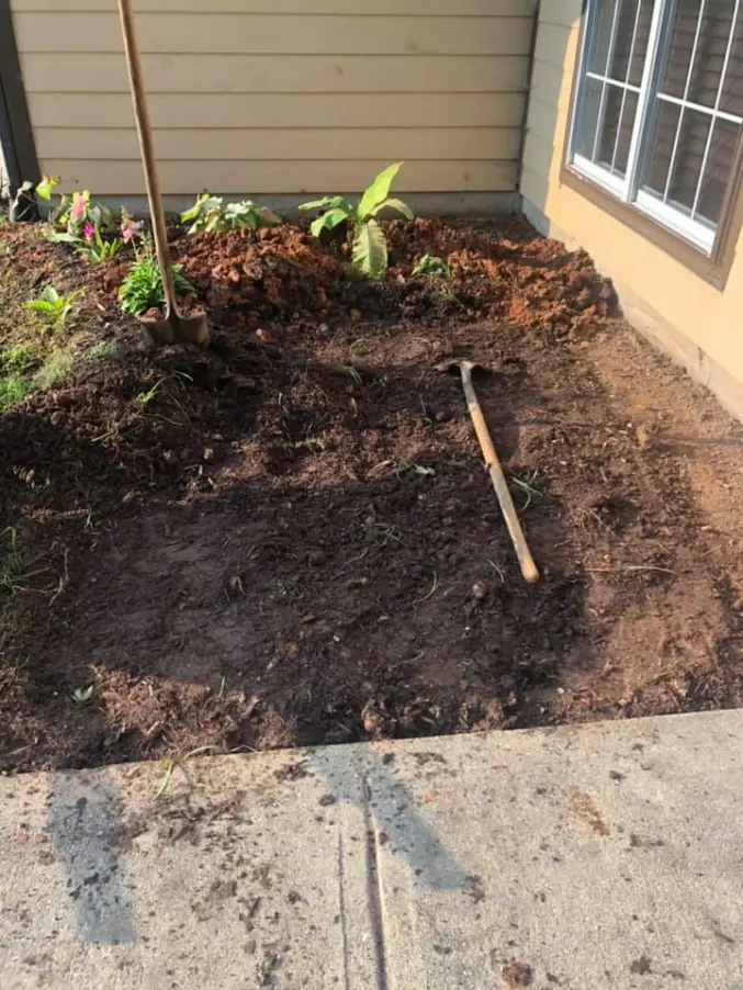 seasonal yard cleanup transformation