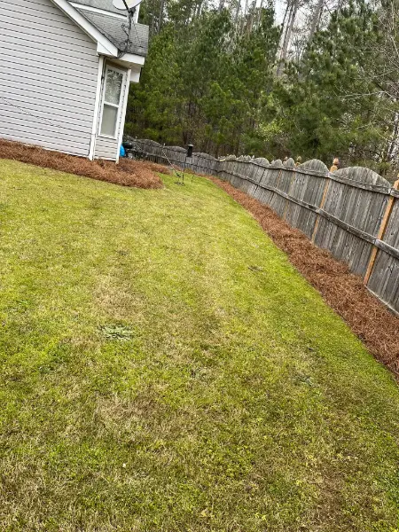 yard cleanup services Georgia