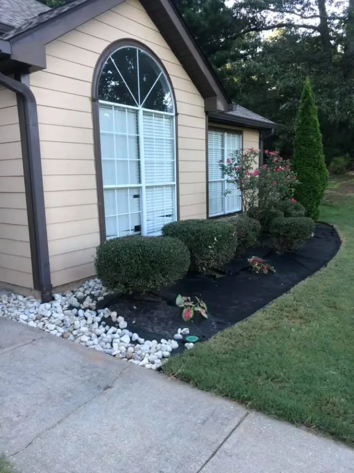 brush clearing services